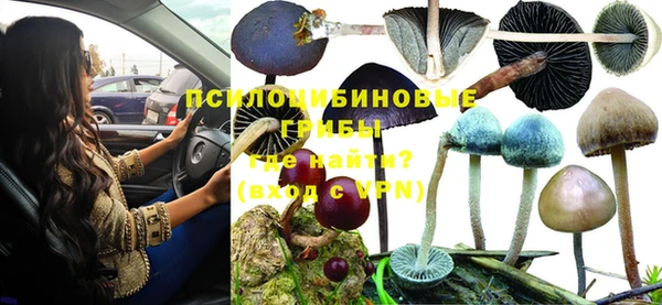 МДПВ Армянск