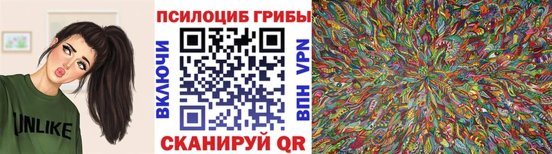 Галлюциногенные грибы Cubensis  Купить  Фёдоровский 